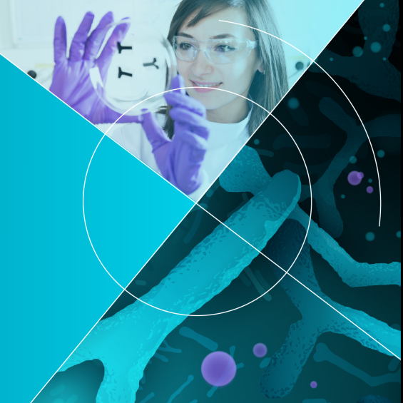 Forum annuel Engineering for Health 2024