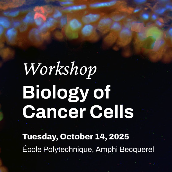 Workshop Biology of Cancer Cells 2025