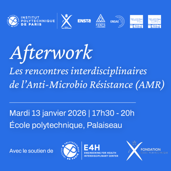After-Work Event: The AMR Interdisciplinary Meetings